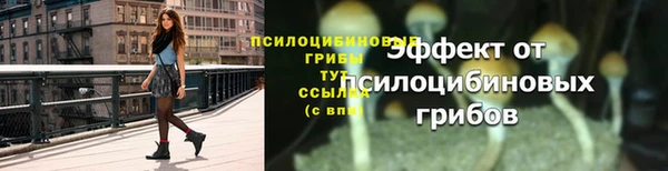 а пвп мука Абдулино