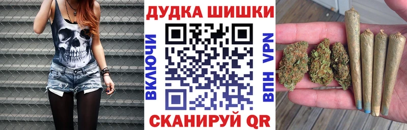 как найти наркотики  Алатырь  МАРИХУАНА сатива 